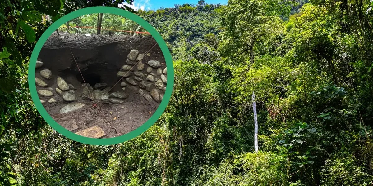 Загублений світ в Еквадорі: технологія LiDAR розкриває тисячі архітектурних пам'яток цивілізації Юмбо.