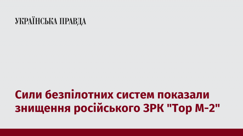 Безпілотні системи продемонстрували успішне знищення російського зенітного ракетного комплексу 