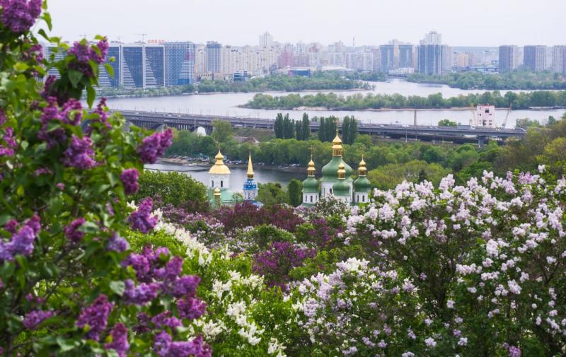 Ботанічний сад імені Гришка під загрозою? Керівництво дало відповідь на питання щодо можливого будівництва на цій зеленій території.