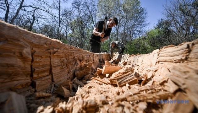 Як і століття тому: на Хортиці створюють човен-моноксил.