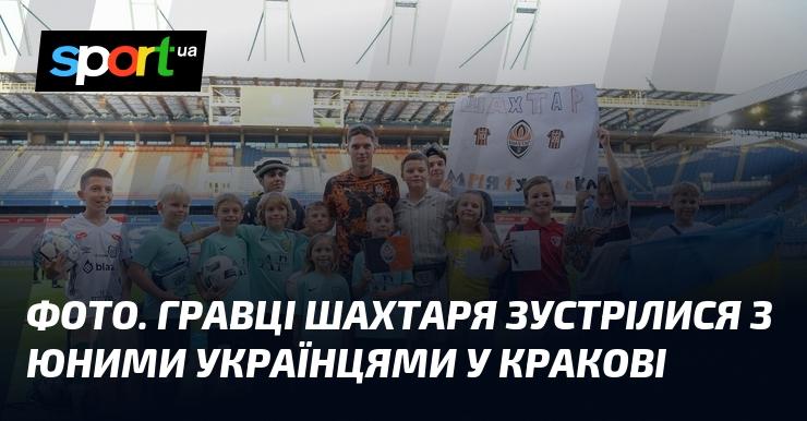 Зображення. Гравці 