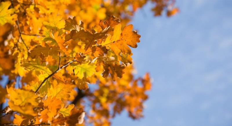 12 жовтня в Україні очікується поліпшення погодних умов.
